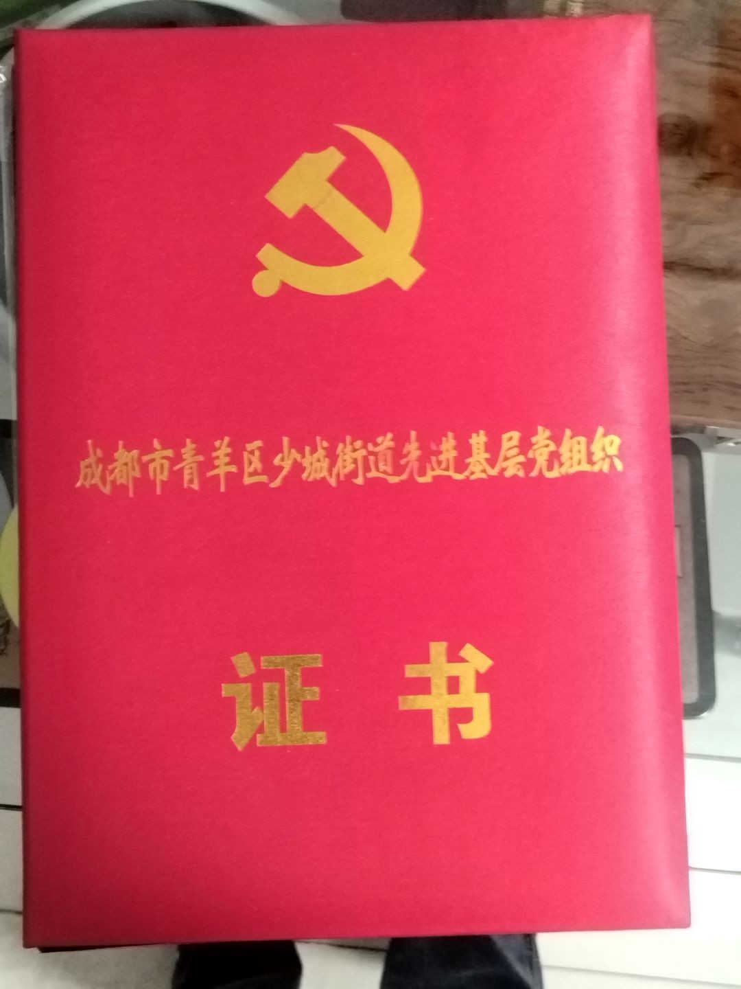 成都市青羊区少城街道先进基层党组织